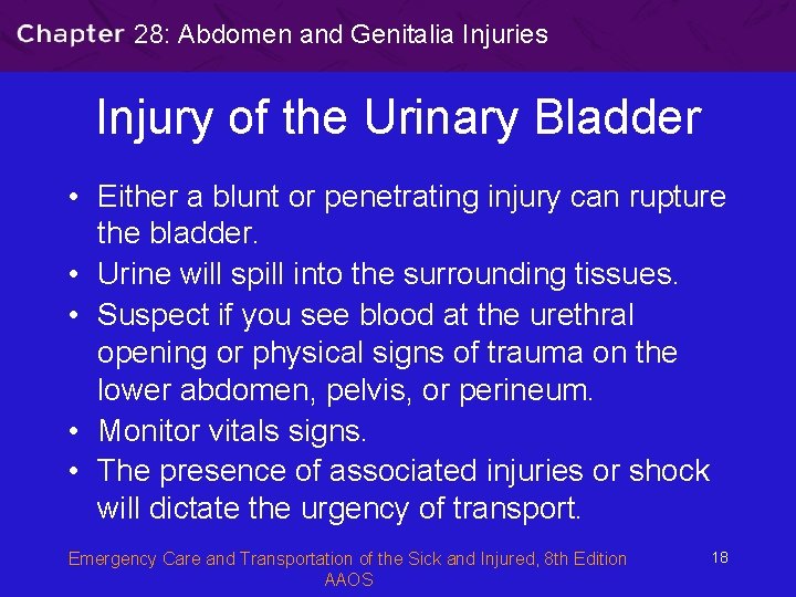 28: Abdomen and Genitalia Injuries Injury of the Urinary Bladder • Either a blunt