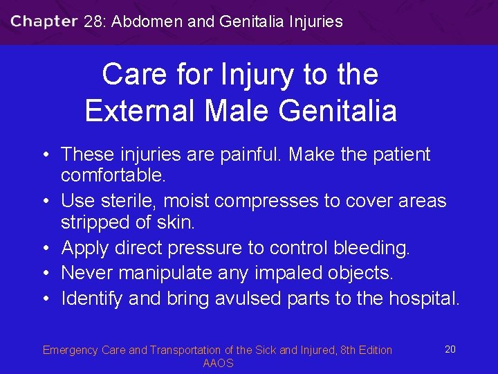 28: Abdomen and Genitalia Injuries Care for Injury to the External Male Genitalia •