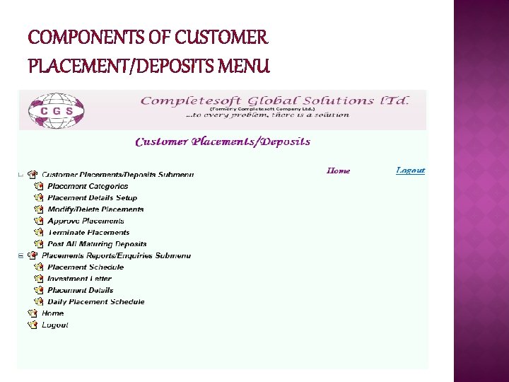 COMPONENTS OF CUSTOMER PLACEMENT/DEPOSITS MENU 