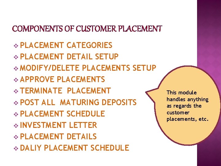 COMPONENTS OF CUSTOMER PLACEMENT v PLACEMENT CATEGORIES v PLACEMENT DETAIL SETUP v MODIFY/DELETE PLACEMENTS