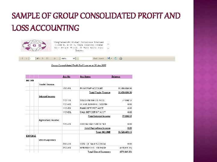 SAMPLE OF GROUP CONSOLIDATED PROFIT AND LOSS ACCOUNTING 