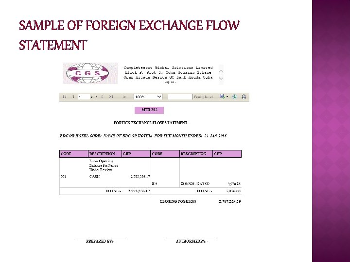SAMPLE OF FOREIGN EXCHANGE FLOW STATEMENT 