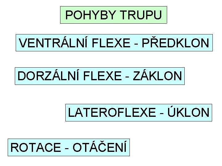 POHYBY TRUPU VENTRÁLNÍ FLEXE - PŘEDKLON DORZÁLNÍ FLEXE - ZÁKLON LATEROFLEXE - ÚKLON ROTACE