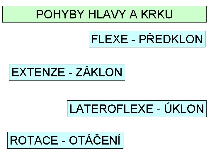 POHYBY HLAVY A KRKU FLEXE - PŘEDKLON EXTENZE - ZÁKLON LATEROFLEXE - ÚKLON ROTACE