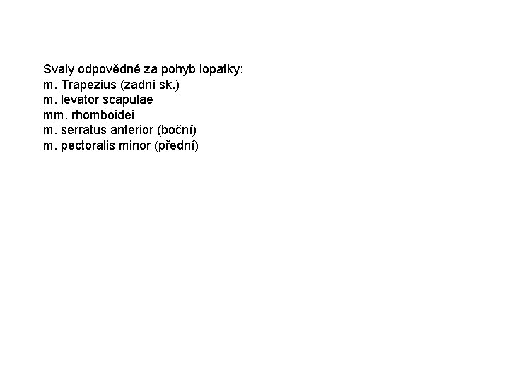 Svaly odpovědné za pohyb lopatky: m. Trapezius (zadní sk. ) m. levator scapulae mm.