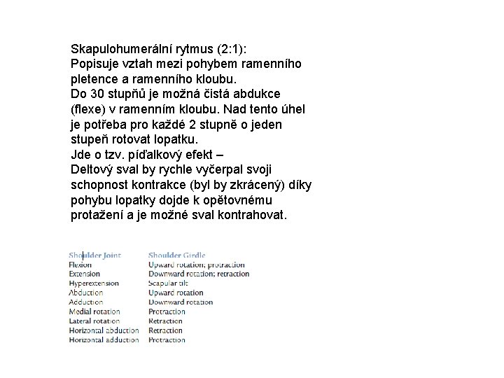 Skapulohumerální rytmus (2: 1): Popisuje vztah mezi pohybem ramenního pletence a ramenního kloubu. Do