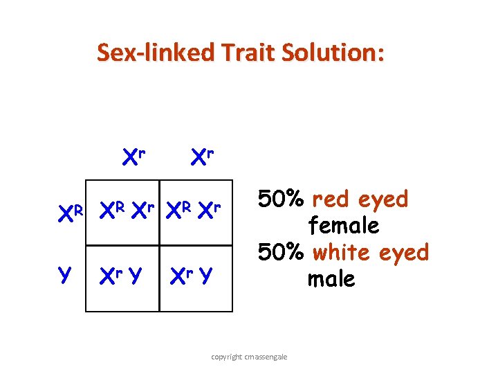 Sex-linked Trait Solution: Xr XR XR Xr Y Xr XR Xr Xr Y 50%