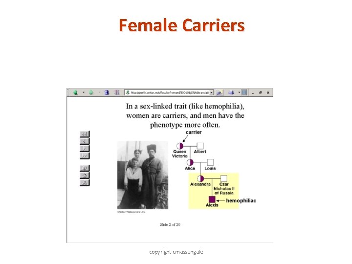Female Carriers copyright cmassengale 13 