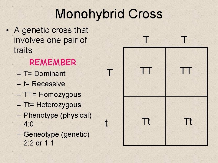 Monohybrid Cross • A genetic cross that involves one pair of traits REMEMBER –