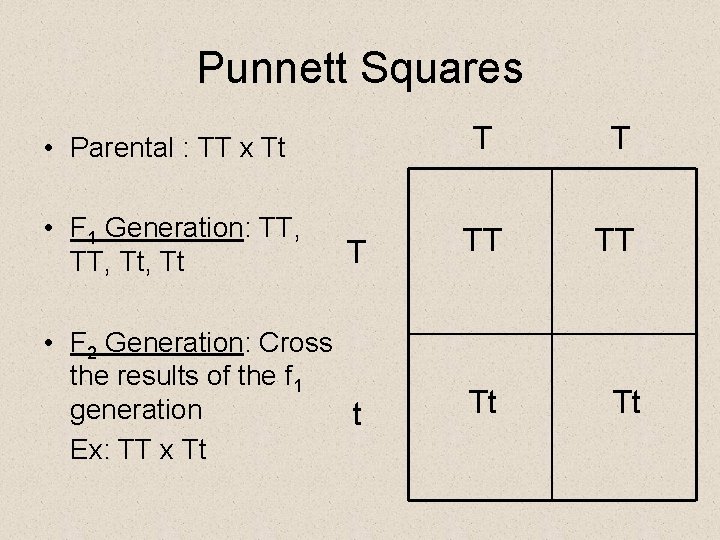 Punnett Squares T TT TT • F 2 Generation: Cross the results of the