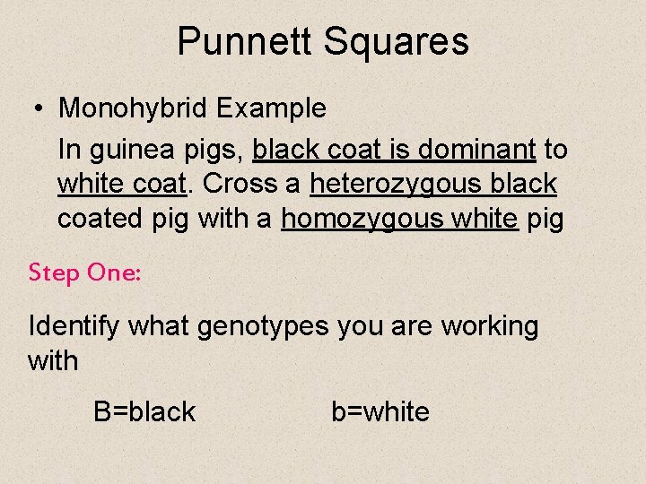 Punnett Squares • Monohybrid Example In guinea pigs, black coat is dominant to white