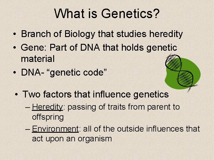 What is Genetics? • Branch of Biology that studies heredity • Gene: Part of