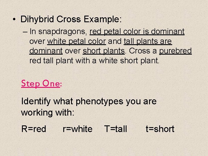  • Dihybrid Cross Example: – In snapdragons, red petal color is dominant over