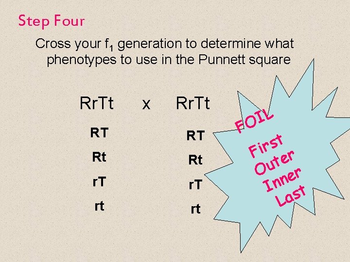 Step Four Cross your f 1 generation to determine what phenotypes to use in