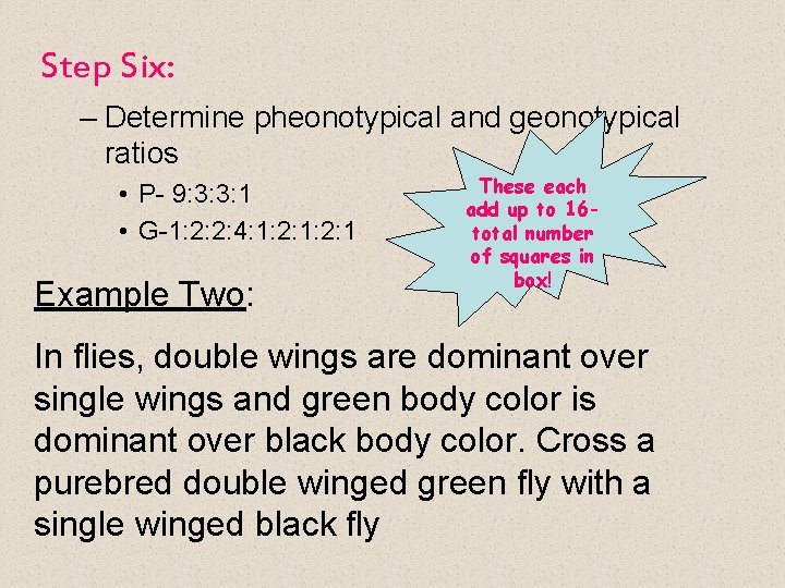 Step Six: – Determine pheonotypical and geonotypical ratios • P- 9: 3: 3: 1