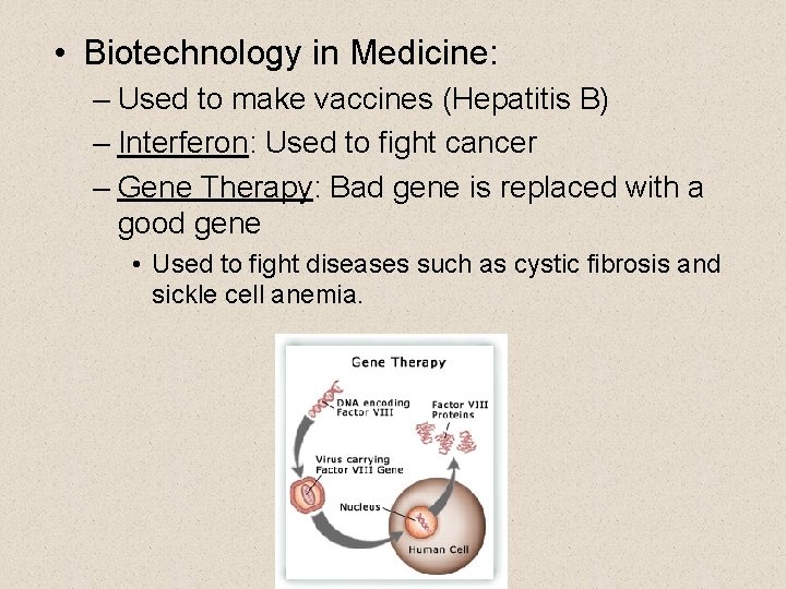  • Biotechnology in Medicine: – Used to make vaccines (Hepatitis B) – Interferon: