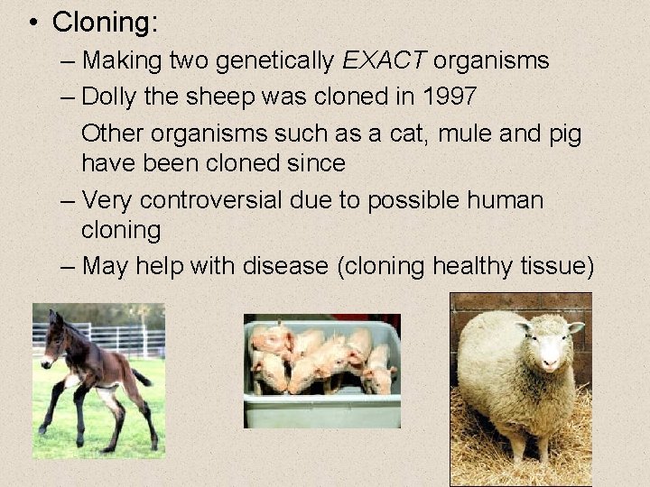  • Cloning: – Making two genetically EXACT organisms – Dolly the sheep was