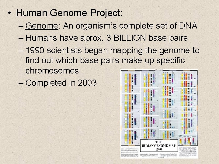  • Human Genome Project: – Genome: An organism’s complete set of DNA –