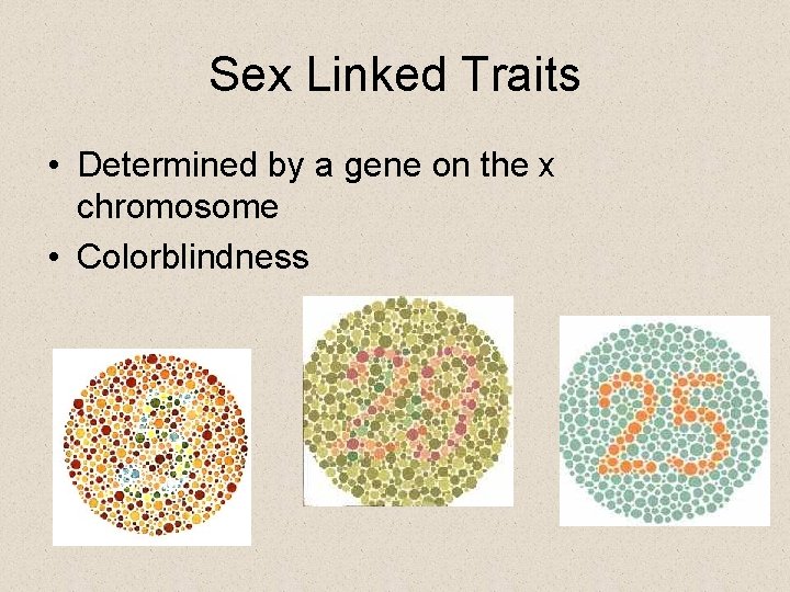 Sex Linked Traits • Determined by a gene on the x chromosome • Colorblindness