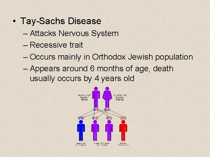  • Tay-Sachs Disease – Attacks Nervous System – Recessive trait – Occurs mainly