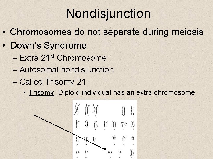Nondisjunction • Chromosomes do not separate during meiosis • Down’s Syndrome – Extra 21