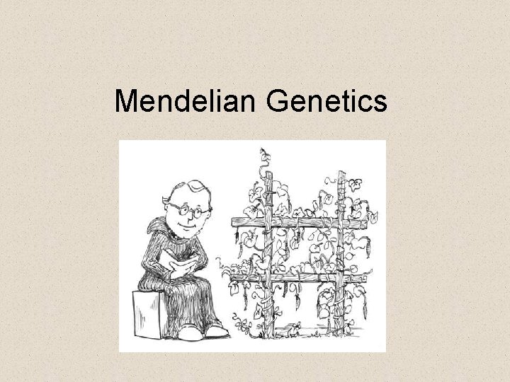 Mendelian Genetics 