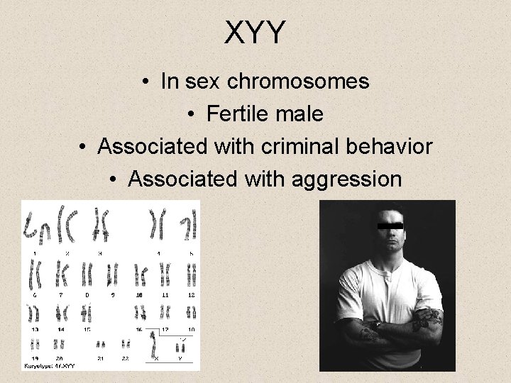 XYY • In sex chromosomes • Fertile male • Associated with criminal behavior •