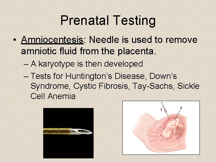 Prenatal Testing • Amniocentesis: Needle is used to remove amniotic fluid from the placenta.