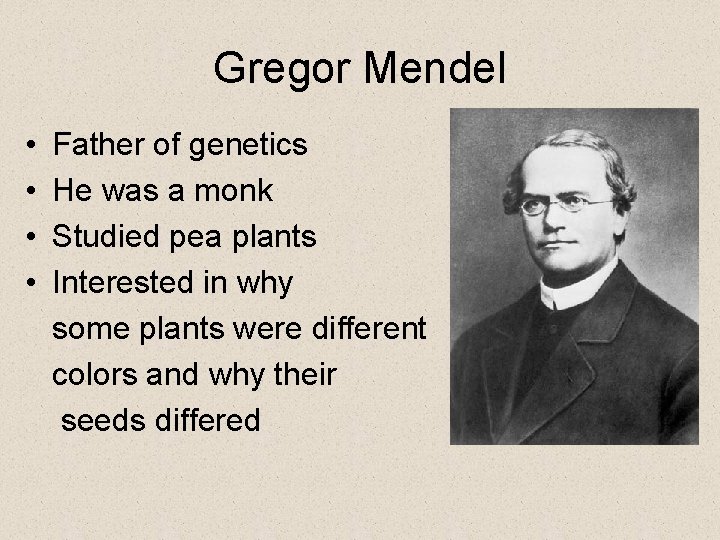 Gregor Mendel • • Father of genetics He was a monk Studied pea plants