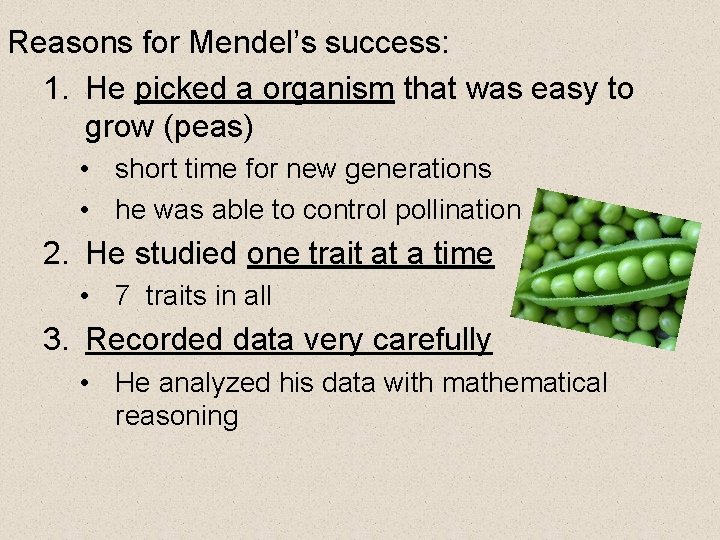 Reasons for Mendel’s success: 1. He picked a organism that was easy to grow