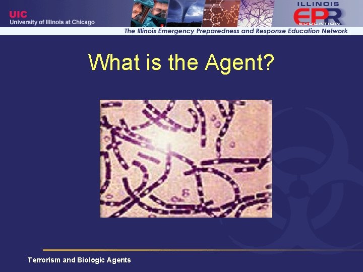 What is the Agent? Terrorism and Biologic Agents 