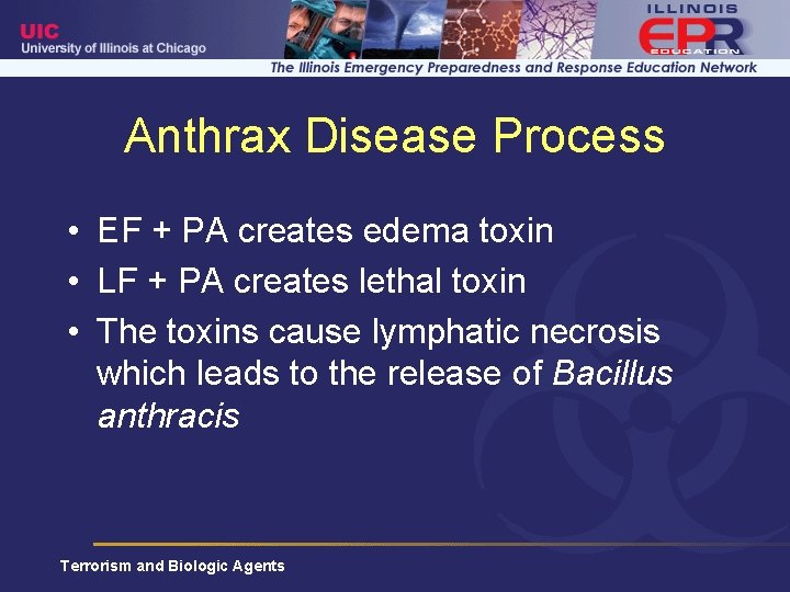 Anthrax Disease Process • EF + PA creates edema toxin • LF + PA