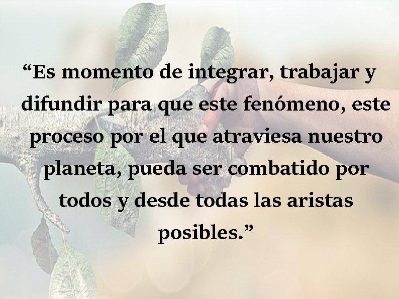 “Es momento de integrar, trabajar y difundir para que este fenómeno, este proceso por