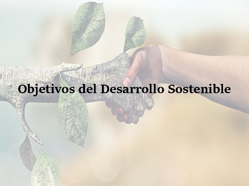 Objetivos del Desarrollo Sostenible 