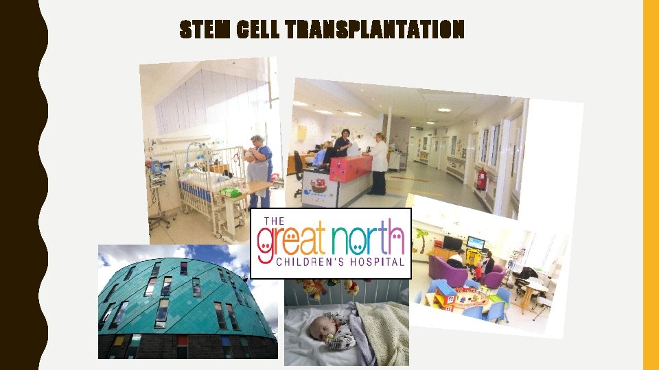 STEM CELL TRANSPLANTATION 