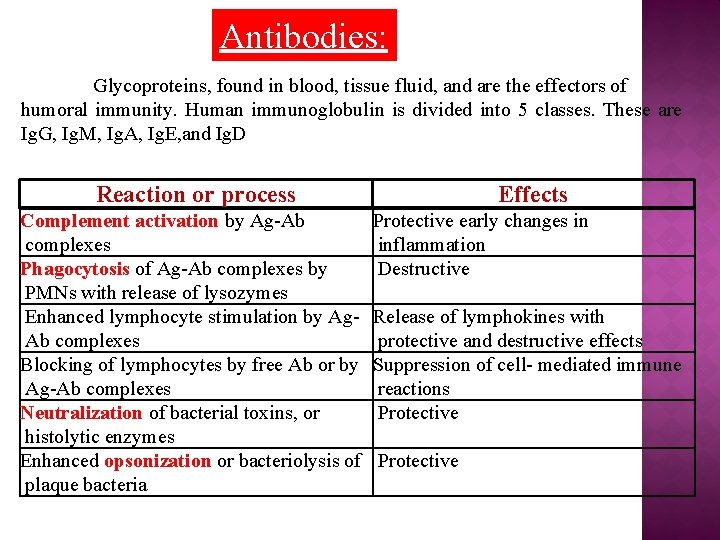 Antibodies: Glycoproteins, found in blood, tissue fluid, and are the effectors of humoral immunity.