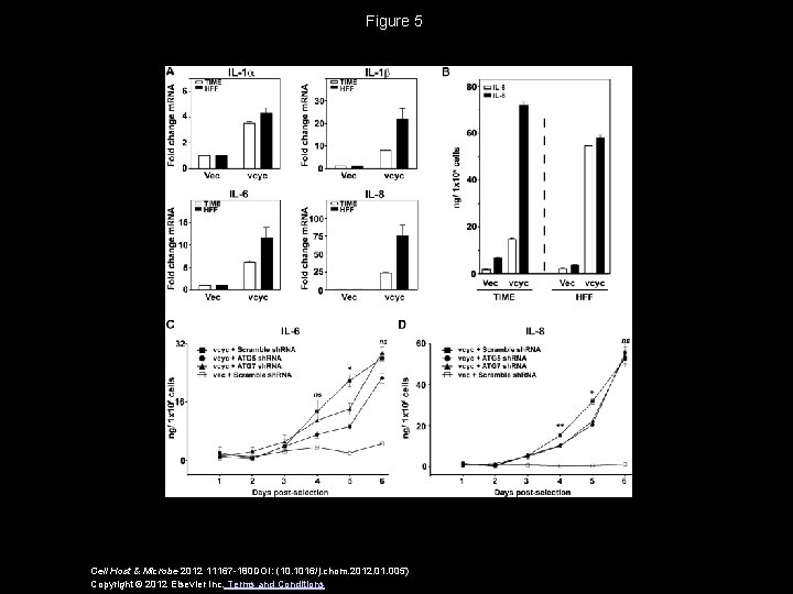 Figure 5 Cell Host & Microbe 2012 11167 -180 DOI: (10. 1016/j. chom. 2012.