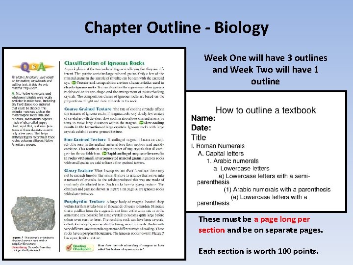 Chapter Outline - Biology Week One will have 3 outlines and Week Two will