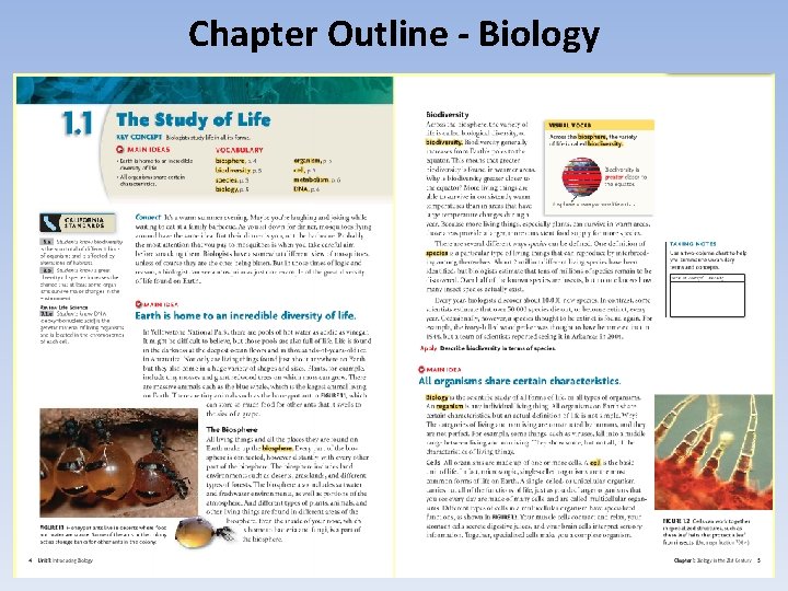 Chapter Outline - Biology 