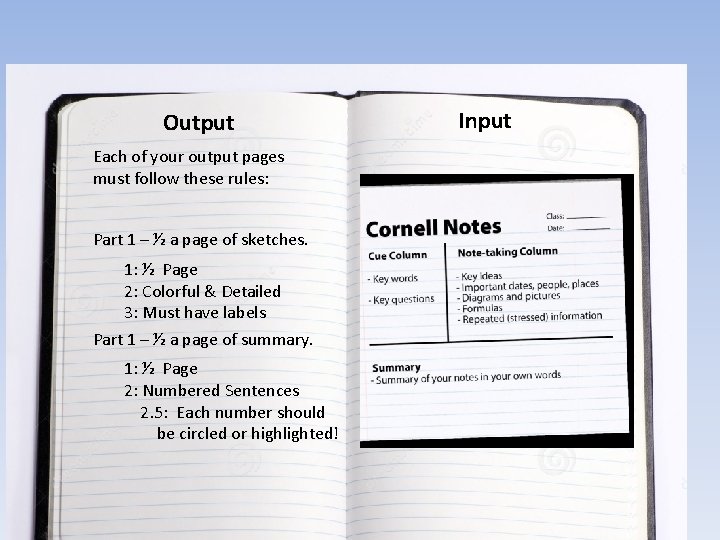 Output Each of your output pages must follow these rules: Part 1 – ½