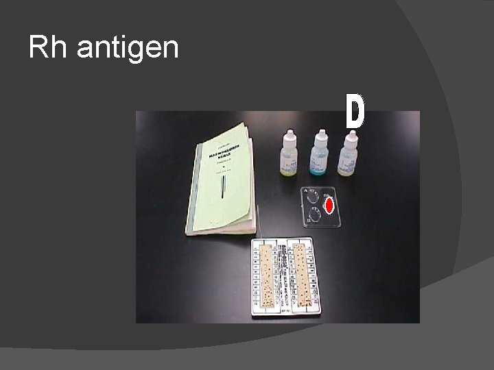 Rh antigen 
