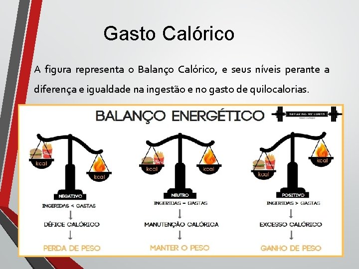 Gasto Calórico A figura representa o Balanço Calórico, e seus níveis perante a diferença