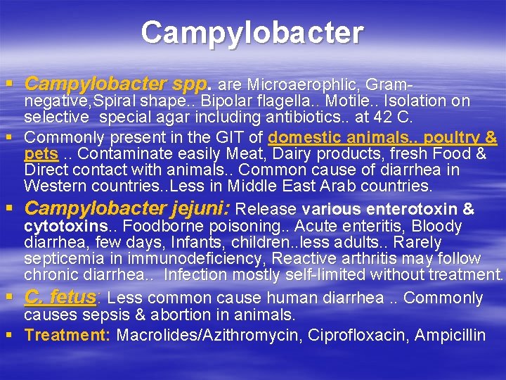 Campylobacter § Campylobacter spp. are Microaerophlic, Gram§ § negative, Spiral shape. . Bipolar flagella.