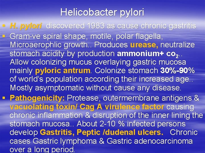 Helicobacter pylori § H. pylori discovered 1983 as cause chronic gastritis § Gram-ve spiral