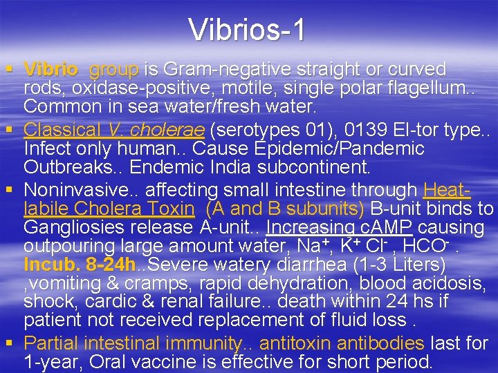Vibrios-1 § Vibrio group is Gram-negative straight or curved rods, oxidase-positive, motile, single polar