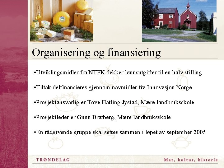 Organisering og finansiering • Utviklingsmidler fra NTFK dekker lønnsutgifter til en halv stilling •