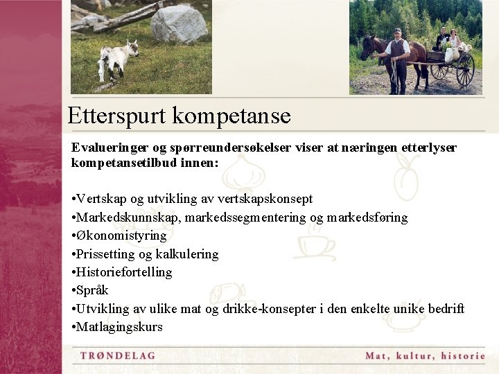 Etterspurt kompetanse Evalueringer og spørreundersøkelser viser at næringen etterlyser kompetansetilbud innen: • Vertskap og