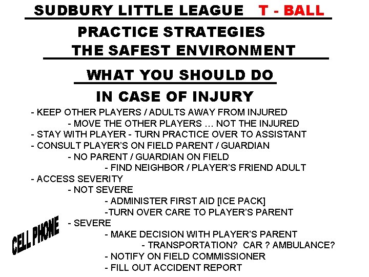 SUDBURY LITTLE LEAGUE T - BALL PRACTICE STRATEGIES THE SAFEST ENVIRONMENT WHAT YOU SHOULD