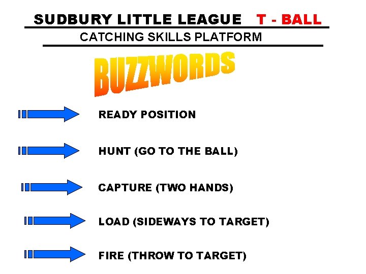 SUDBURY LITTLE LEAGUE T - BALL CATCHING SKILLS PLATFORM READY POSITION HUNT (GO TO