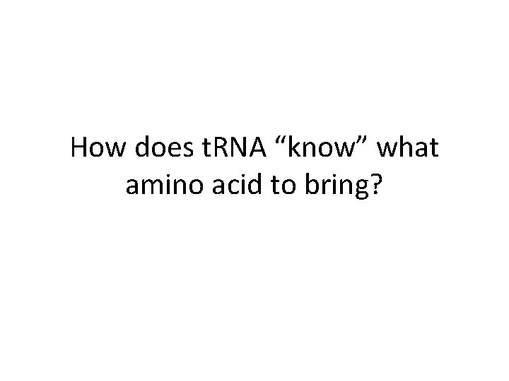 How does t. RNA “know” what amino acid to bring? 